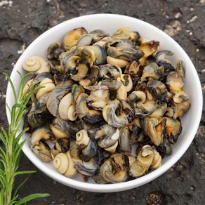 제주 보말 자연산 보말살 300g, 2개