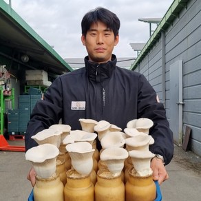 충북 음성에서 온 황제버섯 설원버섯 2개 700g, 1세트