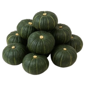 맛통령 제주 밤호박(보우짱), 1개, 미니 단호박 2kg