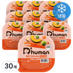듀먼 전연령용 강아지 오리지널 화식사료, 연어+채소, 50g, 30개