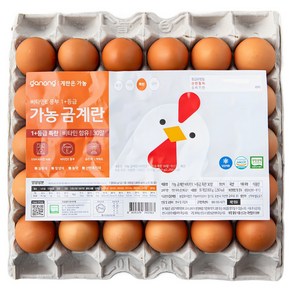 가농 무항생제 비타민E 함유 1+등급 특란, 30구, 1개