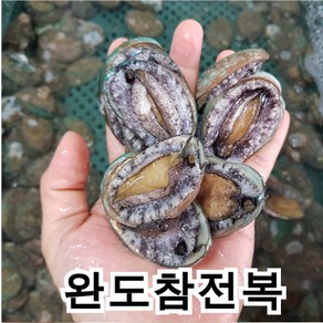 싱싱포장 완도활전복 꼬마전복부터 전복선물, 1개, B 1kg(총40~80마리)