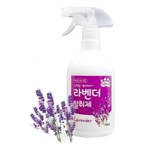인터펫코리아