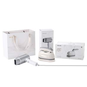 데슬론 다리미 + 헤어 드라이어 세트, 화이트, DDQ-TZ05