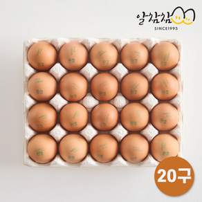 알참참 계란 무항생제 1+등급 특란, 1개, 20구