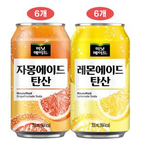 미닛메이드 에이드 뚱캔(자몽+레몬), 12개, 355ml