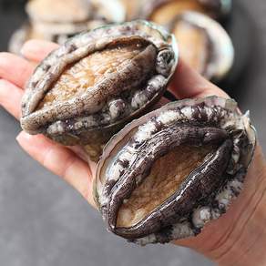 완도 활 전복 정직한 중량 산소팩포장, 1개, 전복 13-15미 1kg