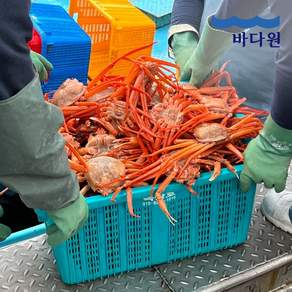 바다원