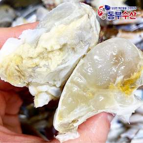 국산 절단꽃게 손질꽃게 양념게장 꽃게무침 서해안꽃게, 1개, 국산절단꽃게 500g