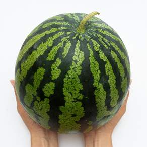 가정용 실속형 못난이 수박, 1개, 4kg