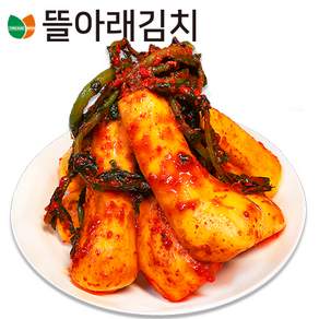 뜰아래김치 국산 총각김치, 3kg, 1개
