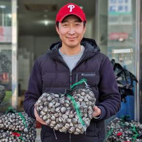 벌교 신선도/가성비 최상 새꼬막 참꼬막, 1박스, 당일수확 최상급 새꼬막 5kg