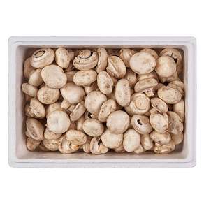 부여 못난이 양송이 버섯, 1박스, 1kg
