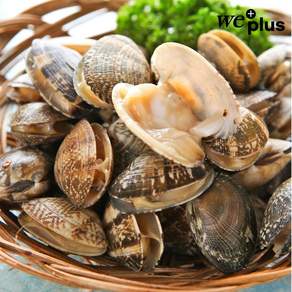 통영 왕바지락 해감 바지락, 5개, 1kg