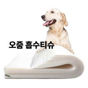 티이엠 애견 오줌 타올 다목적 물 흡수 티슈, 1개, 100개입