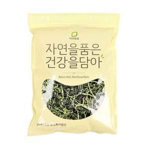 자연닮음