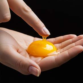 HACCP 난각번호 1번 자연방사 유정란, 1개, 40구