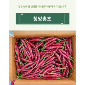 청양홍고추 매운 홍청양 홍땡 1kg 5kg 1박스(10kg내외), 청양홍고추 1kg, 1개