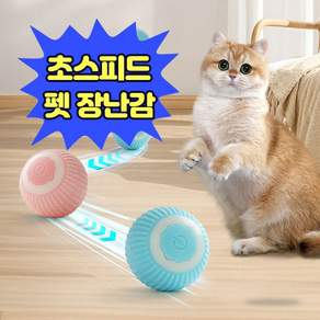 댕냥픽 펫 드리블 볼 강아지 고양이 공 장난감, 블루, 1개