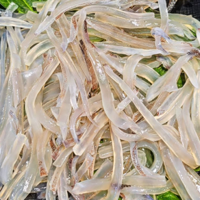 금성호 활오징어 산오징어 동해조업오징어 어장직송 오징어회 오징어통찜, 1개, 200g 오징어회