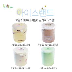 아이스랜드 유지방 아이스크림 메론, 1개, 10L