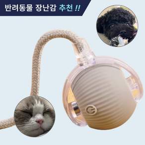 제이셀르 자동으로 움직이는 반려동물 장난감 강아지 자동 공놀이 장난감, 그레이, 1개
