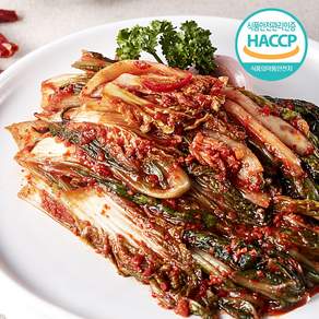 [미친김치] 당일제조 얼갈이김치 / 우리 농산물 100% 전라도김치, 2kg, 1개