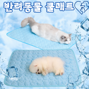 [이월재고70%할인] 브로킥 강아지 고양이 쿨매트 여름방석 아이스매트 냉감패드 XS~XXL