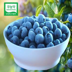 산지직송 친환경 무농약 국산 블루베리 급냉 국내산 냉동 블루베리 부루베리 불루베리, 1개, 2kg(상특)