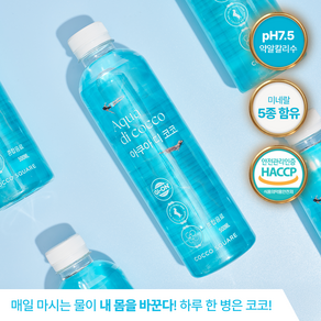 아쿠아디코코 알칼리 물 미네랄 워터 미세플라스틱 없는 안전한 프리미엄 물 500ml 20개
