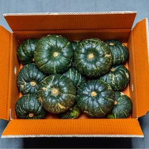 제주미니밤호박 단호박(보우짱)2.0kg 정품특과 5~10과//2개주문시 4.5kg 발송, 1박스, 보우짱 특품2kg