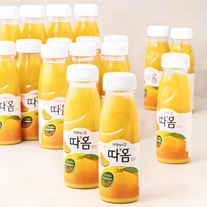 따옴 오렌지 주스, 235ml, 20개