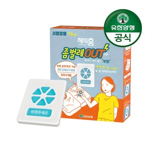 유한양행 해피홈 좀벌레 아웃 방충제 서랍장용 16p, 7.2g, 1개