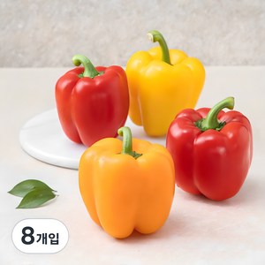 상품이미지