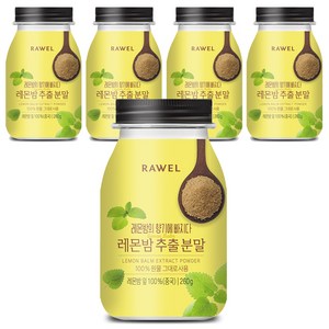 로엘 레몬밤 추출분말, 260g, 5개