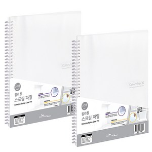 에코청운 칼라칩 스프링 화일 30매 A4, 투명, 2개