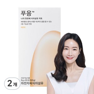 닥터블릿 푸응 차전자피 식이섬유 레몬 20p, 2개, 120g