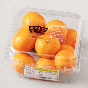 블랙홀 당도선별 11brix 감귤 (소과), 800g(소과), 1개