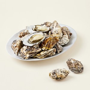 아라보감 망에서키워 더 신선한 남해안 익혀먹는 석화, 2kg, 1박스