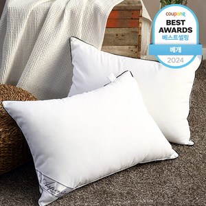 아임리빙 중량업 블랙라인 호텔용 마이크로필에버 베개솜 지퍼형, 화이트, 2개