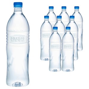 천년동안, 1.2L, 9개