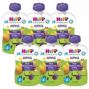 힙 유기농 과일 이유식 100g, 자두 + 블랙커런트 + 배 혼합맛, 6개