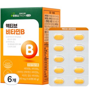 이너랩 액티브 활력 비타민B 콤플렉스 30g, 60정, 6개