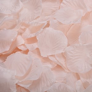 파티복닷컴 파티용 장미꽃잎, 샴페인, 500개입