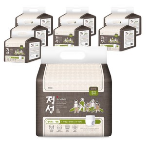 정성 매직팬티 성인기저귀, 대형, 10개입, 8개