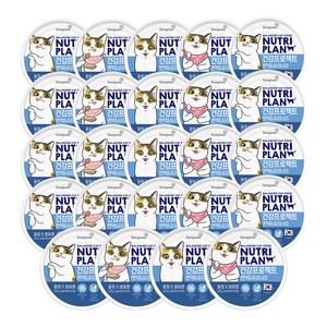 동원 뉴트리플랜 뽀짜툰 고양이 건강 프로젝트 간식캔 160g, 면역 앤 유리너리, 24개