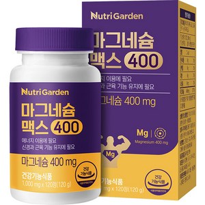 뉴트리가든 마그네슘 맥스400 120정, 1개, 120g