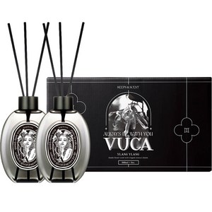 뷰카 센트 클래식 대용량 디퓨저 2p 선물세트, 일랑일랑, 260ml, 2개