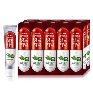2080 진지발리스 잇몸치약 스트롱민트 유칼립투스향, 150g, 10개