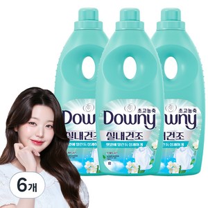 다우니 실내건조 초고농축 섬유유연제 프레시 클린 본품, 1.05L, 6개